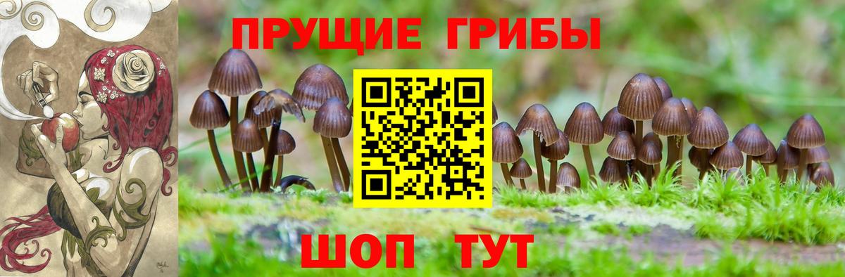 наркота  Вход с VPN  Пенза  Псилоцибиновые грибы мухоморы 
